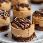 Peanut Butter Cheesecake Bites