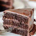 Homemade Chocolate Cake with Chocolate Frosting